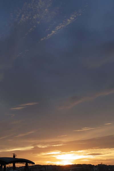 SDIM1217
