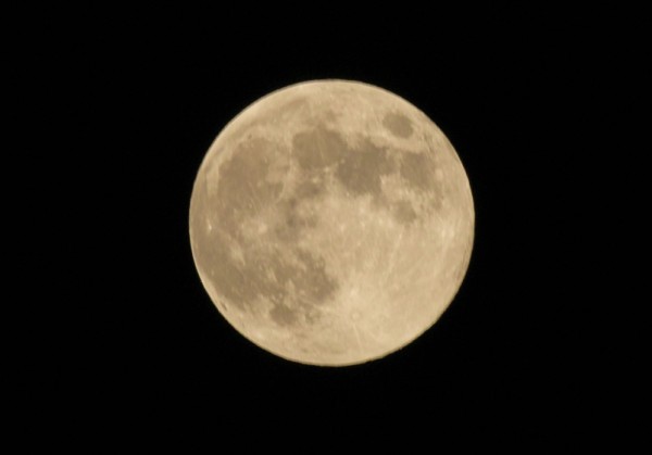 SDIM1367-3大